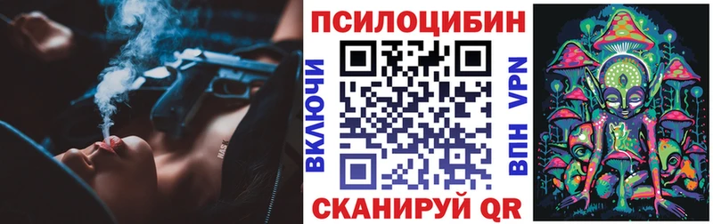 Псилоцибиновые грибы Psilocybine cubensis  Алушта 